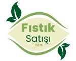 fistiksatisi.com